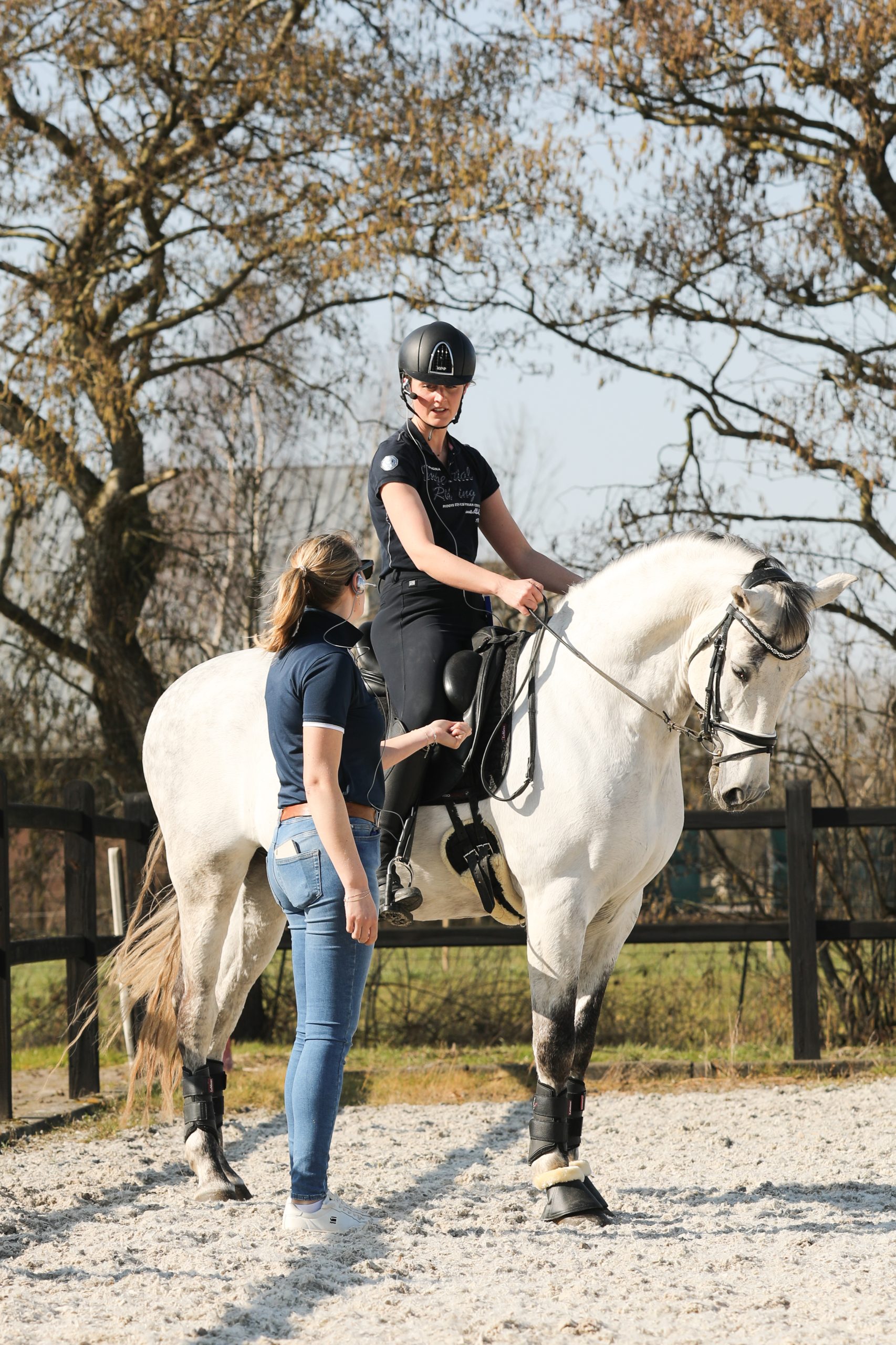 Course posture seat dressage riding